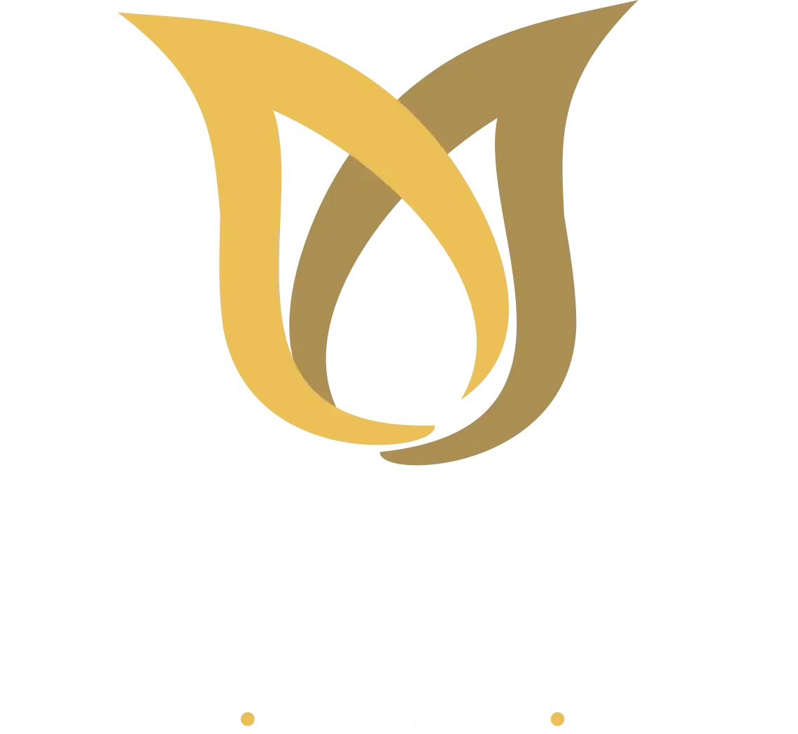 Tulip Tours Holland